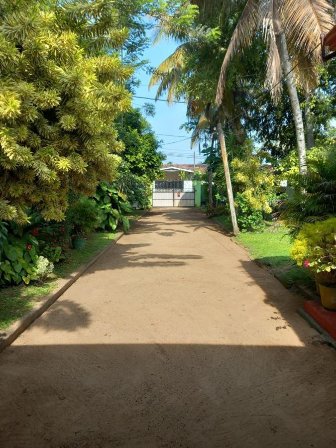 Shenya Villa เบนโตตา ภายนอก รูปภาพ