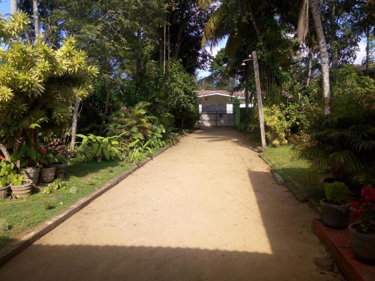 Shenya Villa เบนโตตา ภายนอก รูปภาพ