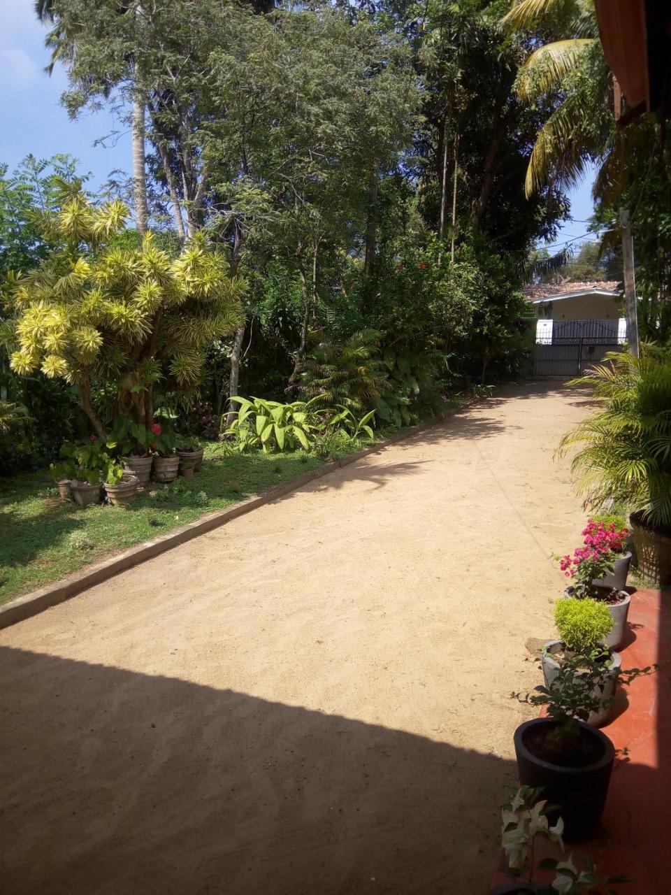 Shenya Villa เบนโตตา ภายนอก รูปภาพ